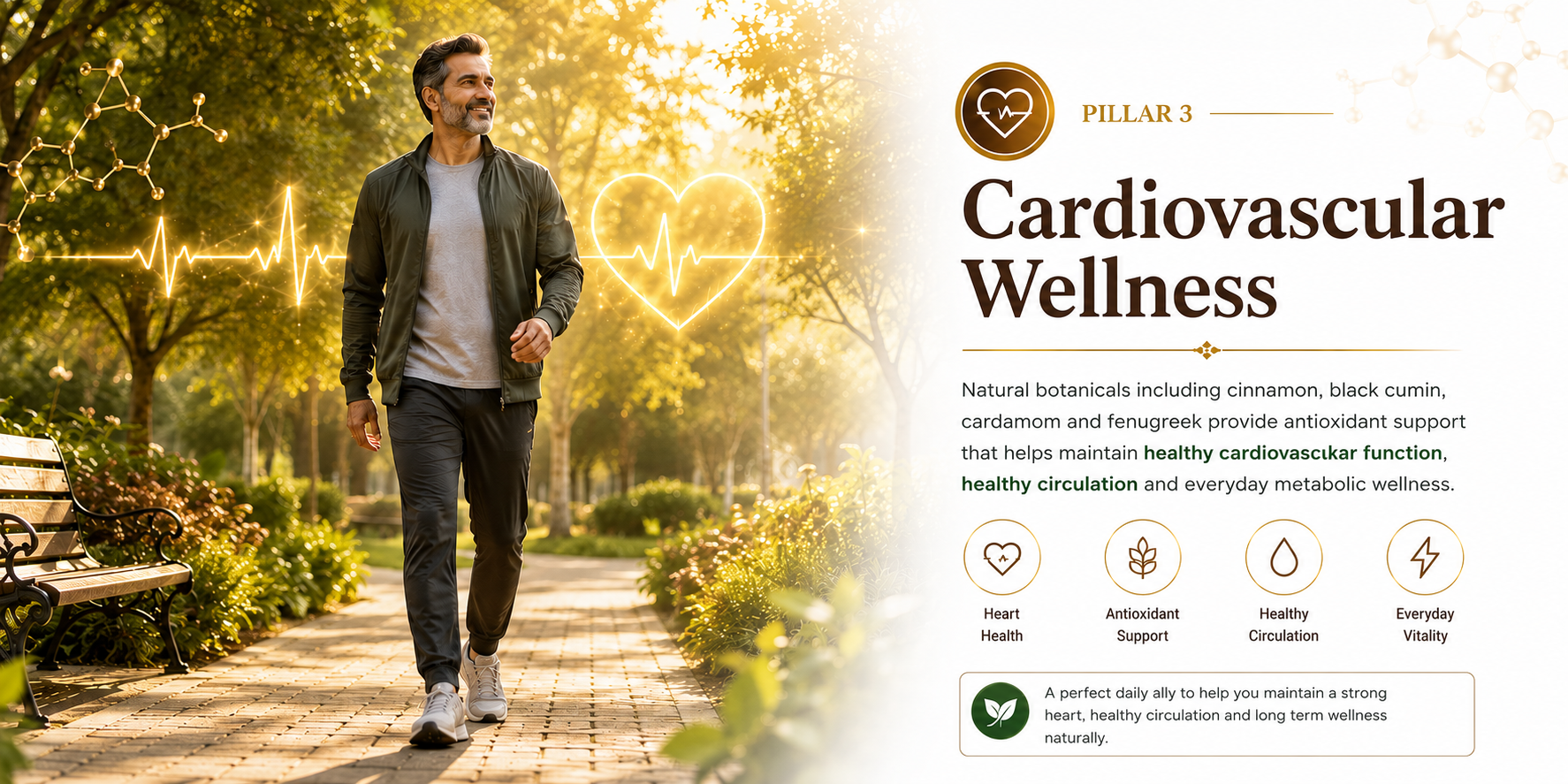 Cardiovascular wellness and herbal spices theme